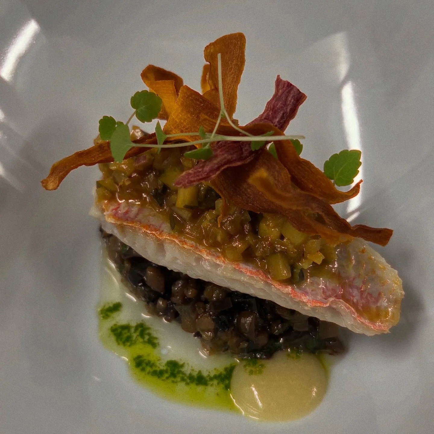 Dorade royale